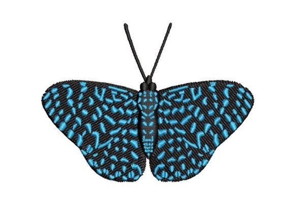 Hamadryas Butterfly: A Designer's Review for Boutique Apparel
