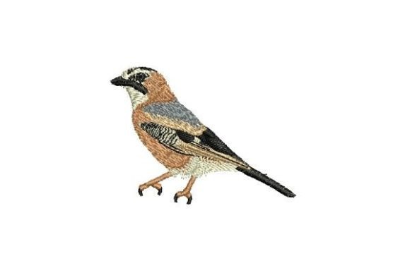 Jay Bird Review: A Seasonal Embroidery Gem