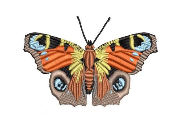 Peacock Butterfly: A Designer's Review for Gifts