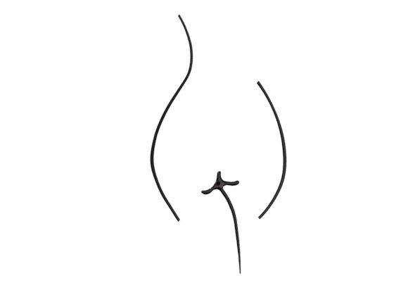 Reviewing Woman Body Line Art for Boutique Sweatshirts